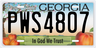 GA license plate PWS4807
