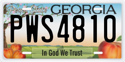 GA license plate PWS4810