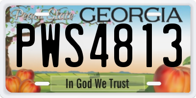 GA license plate PWS4813