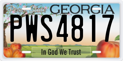 GA license plate PWS4817