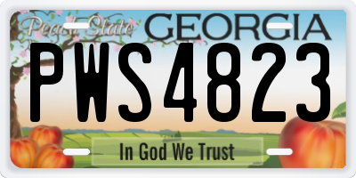 GA license plate PWS4823