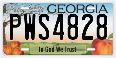 GA license plate PWS4828