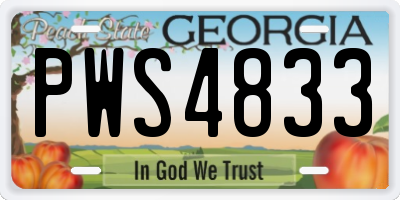 GA license plate PWS4833