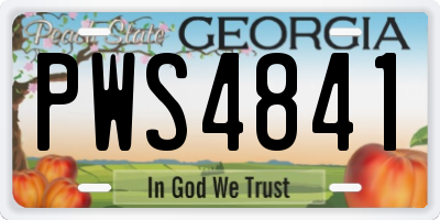 GA license plate PWS4841