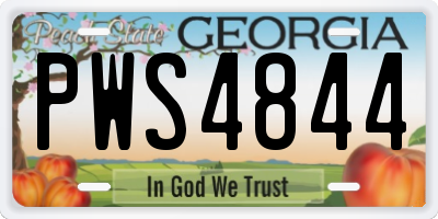 GA license plate PWS4844