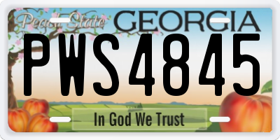 GA license plate PWS4845