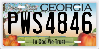 GA license plate PWS4846