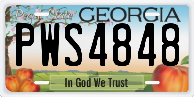 GA license plate PWS4848