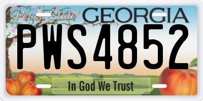 GA license plate PWS4852