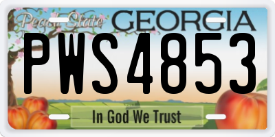 GA license plate PWS4853