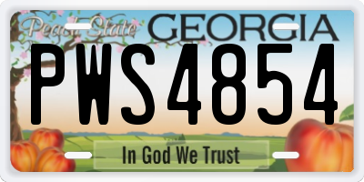 GA license plate PWS4854