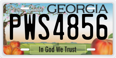 GA license plate PWS4856