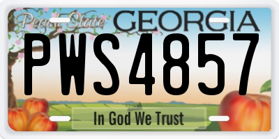 GA license plate PWS4857