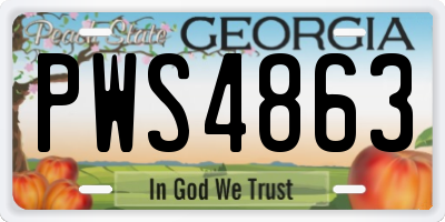 GA license plate PWS4863