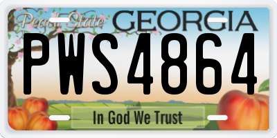 GA license plate PWS4864