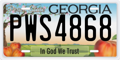 GA license plate PWS4868