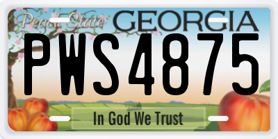 GA license plate PWS4875