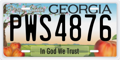 GA license plate PWS4876
