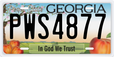 GA license plate PWS4877