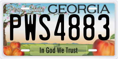 GA license plate PWS4883