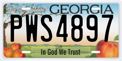 GA license plate PWS4897