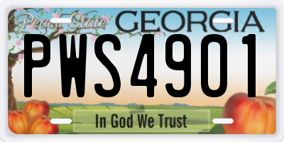 GA license plate PWS4901