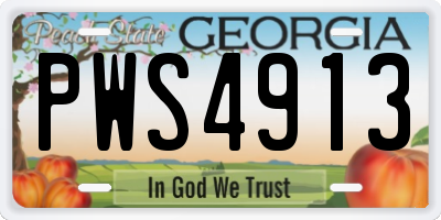 GA license plate PWS4913