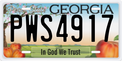 GA license plate PWS4917