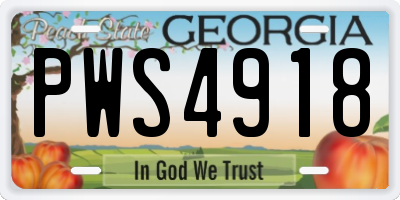 GA license plate PWS4918