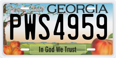 GA license plate PWS4959
