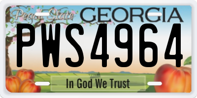 GA license plate PWS4964