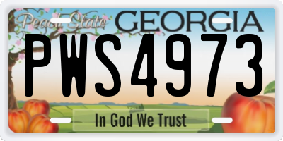 GA license plate PWS4973