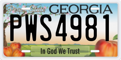 GA license plate PWS4981