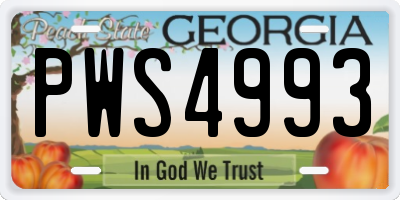 GA license plate PWS4993