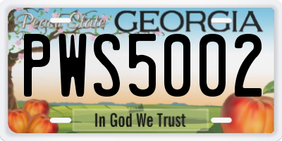 GA license plate PWS5002