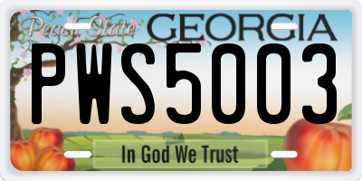 GA license plate PWS5003