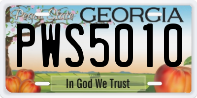 GA license plate PWS5010