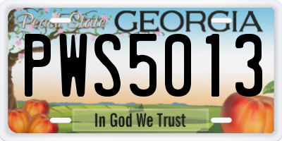 GA license plate PWS5013