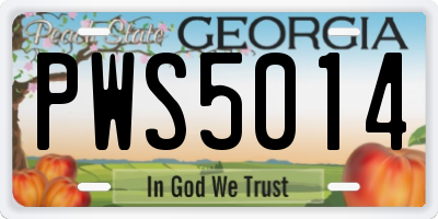 GA license plate PWS5014