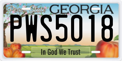 GA license plate PWS5018