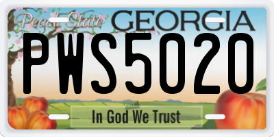 GA license plate PWS5020