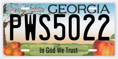 GA license plate PWS5022