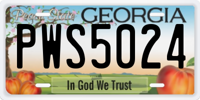 GA license plate PWS5024