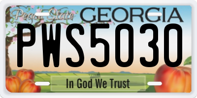 GA license plate PWS5030