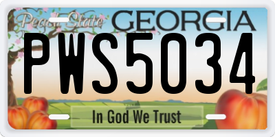 GA license plate PWS5034