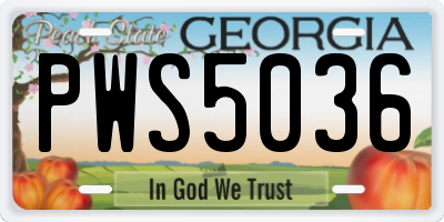 GA license plate PWS5036