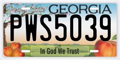 GA license plate PWS5039