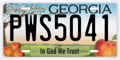 GA license plate PWS5041