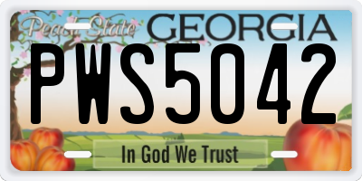 GA license plate PWS5042