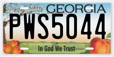 GA license plate PWS5044